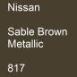 Preview: Nissan, Sable Brown Metallic, 817.